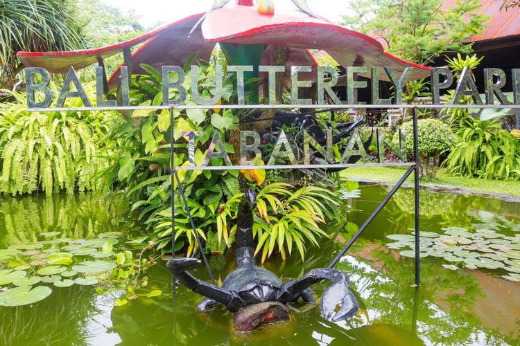 Taman Kupu-kupu Bali