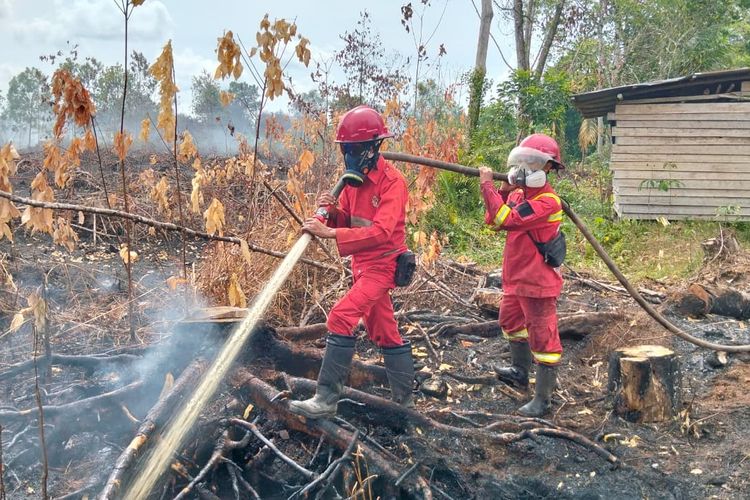 Petugas memadamkan api kebakaran hutan dan lahan di salah satu desa di Kalimantan Barat. 
