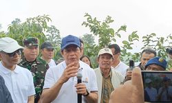 KLH Gandeng Kementerian ESDM, Pastikan Kelola Energi Ramah Lingkungan 