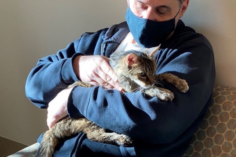Foto ini disediakan oleh Departemen Perawatan dan Pengendalian Hewan Los Angeles County menunjukkan Brandy, seekor kucing kucing coklat, yang dipertemukan kembali pada Senin, 22 Februari 2021, dengan pemiliknya, Charles.