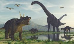 Apakah Dinosaurus Bisa Terserang Penyakit?