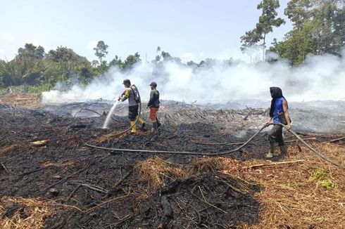 25 Ha Hutan dan Lahan Gambut di Bengkalis Riau Terbakar, 2 Hari Api Belum Padam