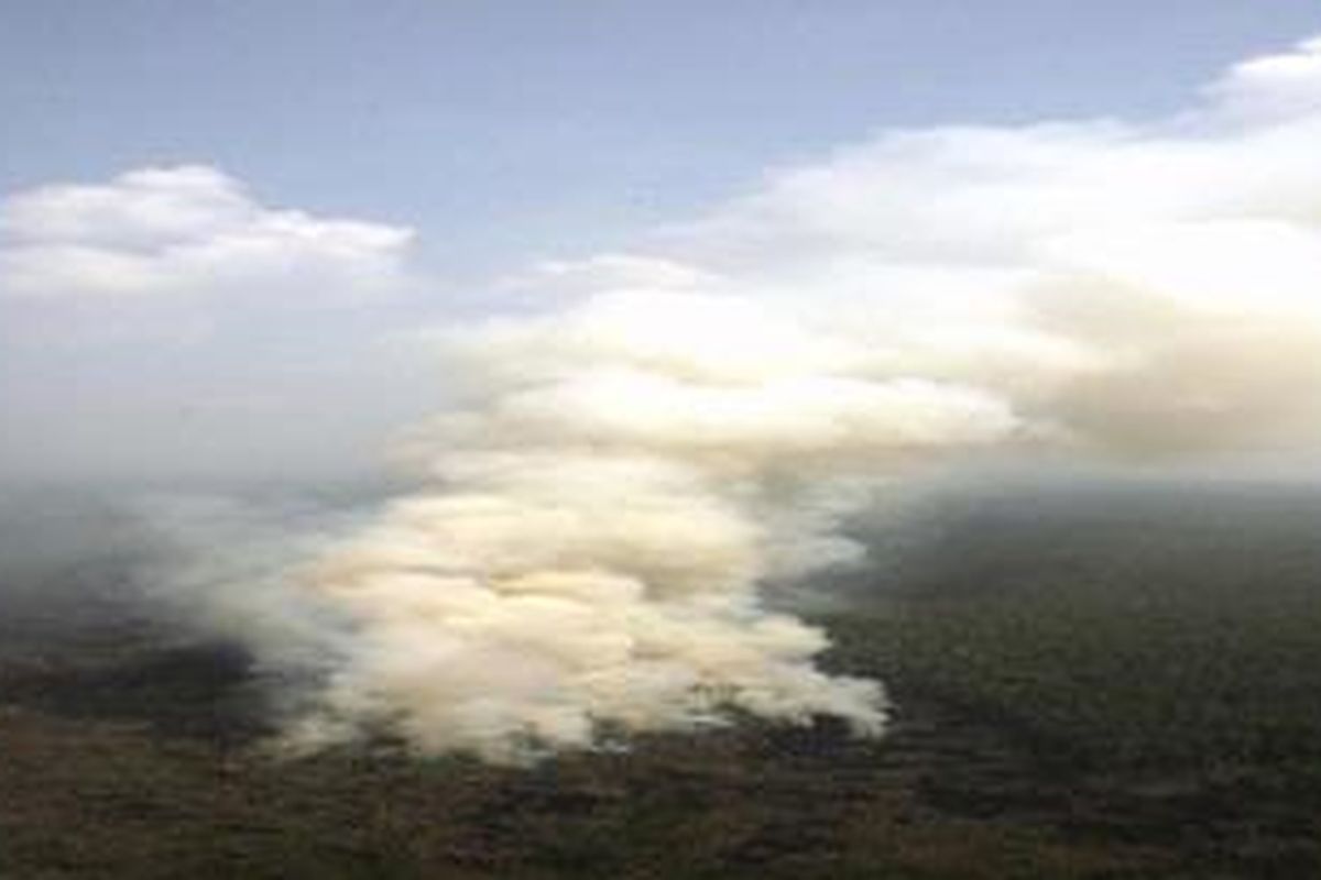 Kepulan asap membumbung tinggi ke udara akibat kebakaran hutan yang terjadi di kawasan Tasik Betung, Kabupaten Bengkalis, Provinsi Riau, Selasa (7/7/2009). 