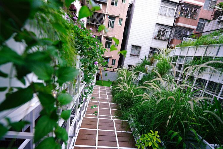 Program ini mengajak masyarakat untuk menanam tumbuhan hijau di area atap rumah atau bangunan. 
