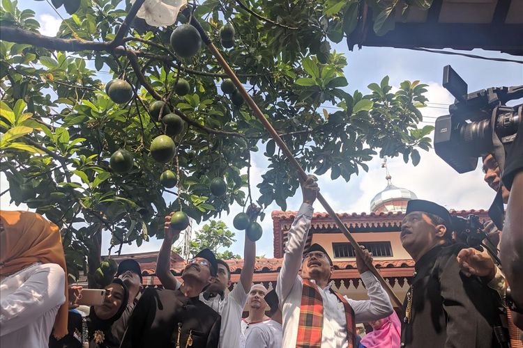 Walikota Jakarta Selatan, Marullah Matali Ngangget Buah Alpukat Cipedak