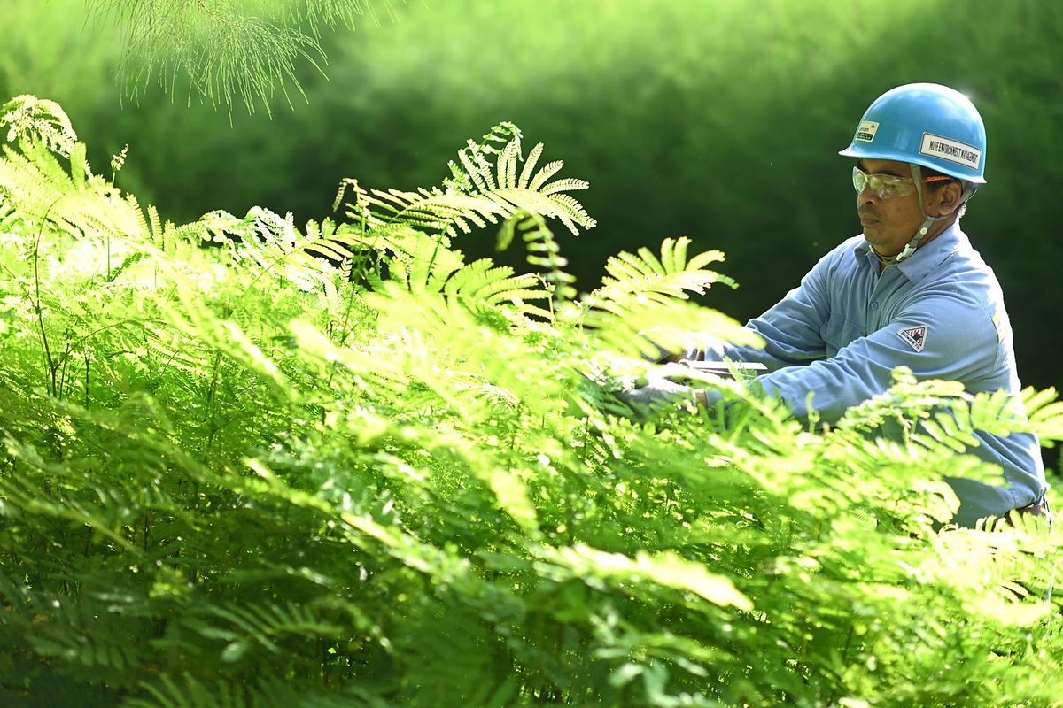 PT Aneka Tambang Tbk (Antam) melalui Unit Bisnis Pertambangan Nikel (UBPN) Kolaka memperlihatkan keberhasilan dalam melestarikan keanekaragaman hayati dan lingkungan.