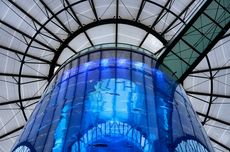 6 Fakta AquaDom Berlin, Akuarium Silinder Terbesar di Dunia yang Pecah
