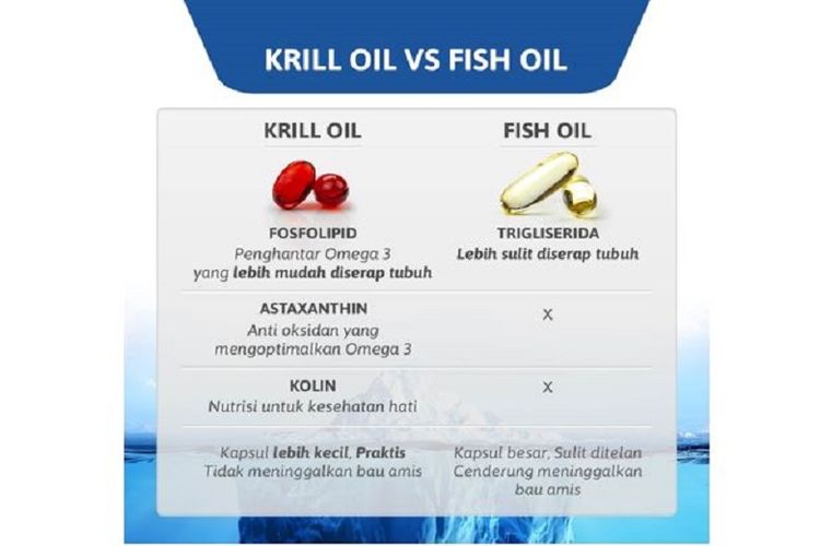 Perbedaan minyak krill dan minyak ikan. Sumber: H2 Superba Krill Oil