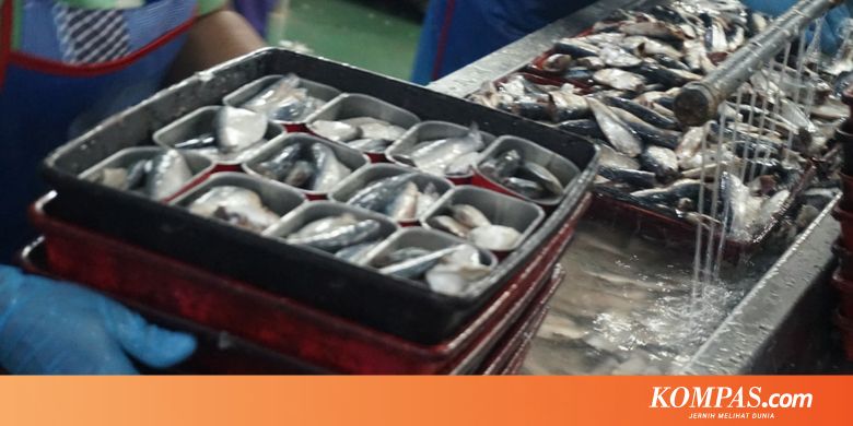 Antisipasi Virus Corona, KKP Akan Uji Lab Ikan Impor Asal China - Kompas.com - KOMPAS.com
