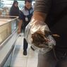 Viral Tikus Terjebak di Freezer Makanan Supertore di Lampung, Dinkes: Ini Menyangkut Kesehatan Masyarakat