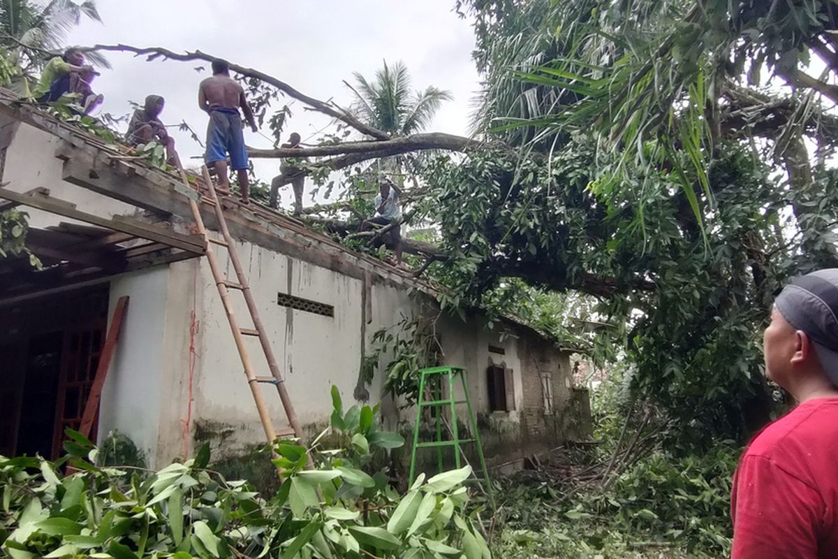Kerusakan akibat tertimpa pohon di rumah Suwardi di Pedukuhan Sigran, Kalurahan Tirtorahayu, Kapanewon Galur, Kabupaten Kulon Progo, Daerah Istimewa Yogyakarta. Peristiwa ini diawali angin puting beliung yang disertai hujan petir pada Rabu (8/6/2022) sekitar pukul 17.15 WIB.