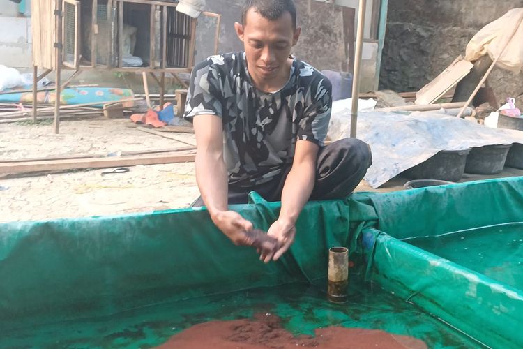 Di Luar Tugas Padamkan Api, Anggota Damkar Ini Berburu Cacing Sutra di BKT