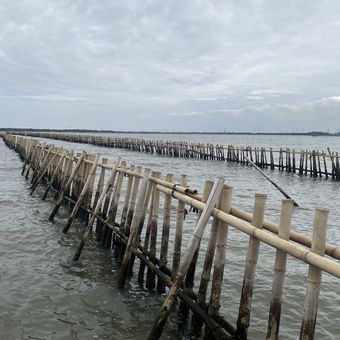 Pagar laut sepanjang lima kilometer milik PT Tunas Ruang Pelabuhan Nusantara (TRPN) membentang di perairan Kampung Paljaya, Tarumajaya, Kabupaten Bekasi, Jawa Barat.