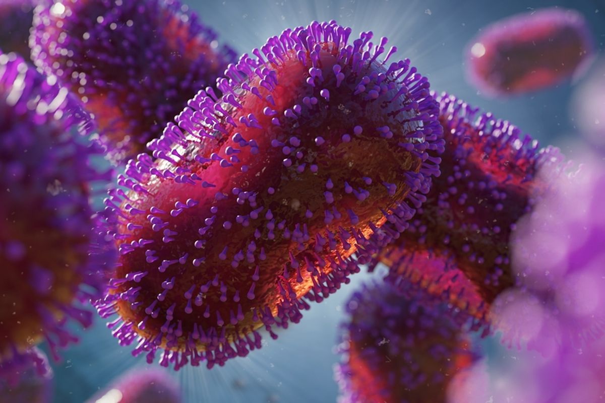Ilustrasi virus penyebab cacar monyet atau monkeypox. Cacar monyet termasuk penyakit zoonosis yang ditularkan dari hewan ke manusia. 