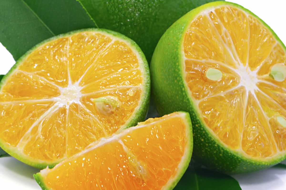 Ilustrasi buah lemon cui. 