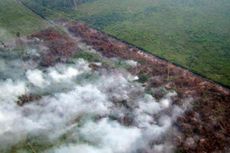 Polisi Tetapkan 26 Tersangka Pembakaran Hutan di Riau