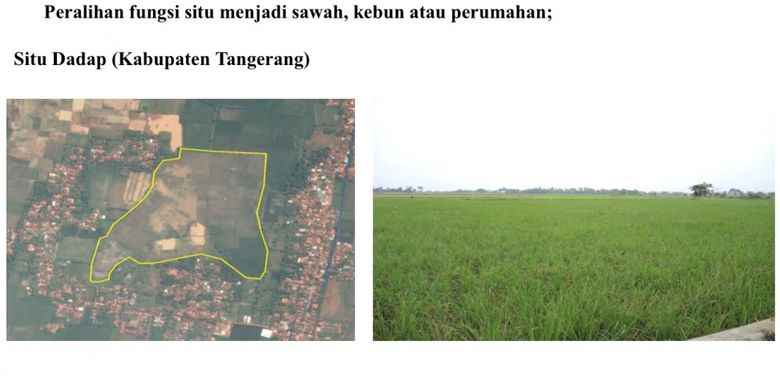 Kondisi situ yang rusak akibat sudah alih fungsi sebagai area pesawahan.