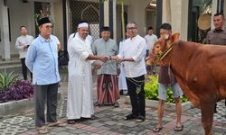 Berbagi Berkah dan Kebahagiaan Idul Adha, PGN Group Bagikan 955 Hewan Kurban