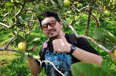 6 Aktivitas di Kusuma Agrowisata di Kota Batu, Petik Buah dan Selfie