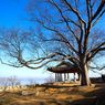 5 Tempat Wisata yang Wajib Dikunjungi di Pulau Ganghwado, Korea Selatan