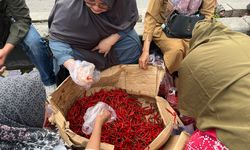 Kendalikan Inflasi, Pemprov Riau Distribusikan Satu Ton Cabai Merah ke Lima Pasar