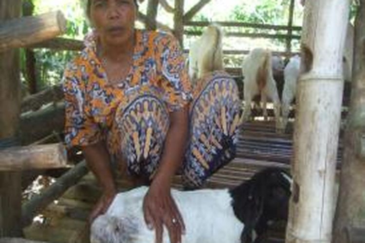 Paini warga Dusun Tamansari Kecamatan Licin menunjukkan luka di kambing peliharaannya yang diduga digigit anjing liar.