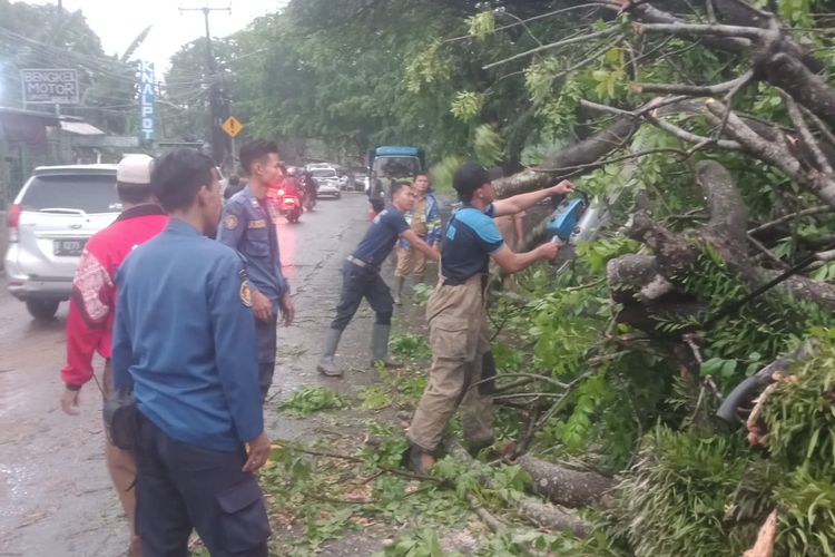 Pohon tumbang akibat hujan deras dan angin kencang telah menimpa sebuah sepeda motor di Kota Tangerang, Selasa (4/10/2022). Pengemudi motor masih bisa selamatkan diri dan meninggalkan motornya tertimpa pohon jatuh.