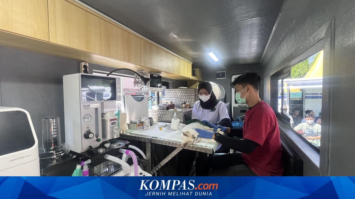 Jakarta Punya Klinik Hewan Keliling, Bisa USG hingga Operasi Kecil