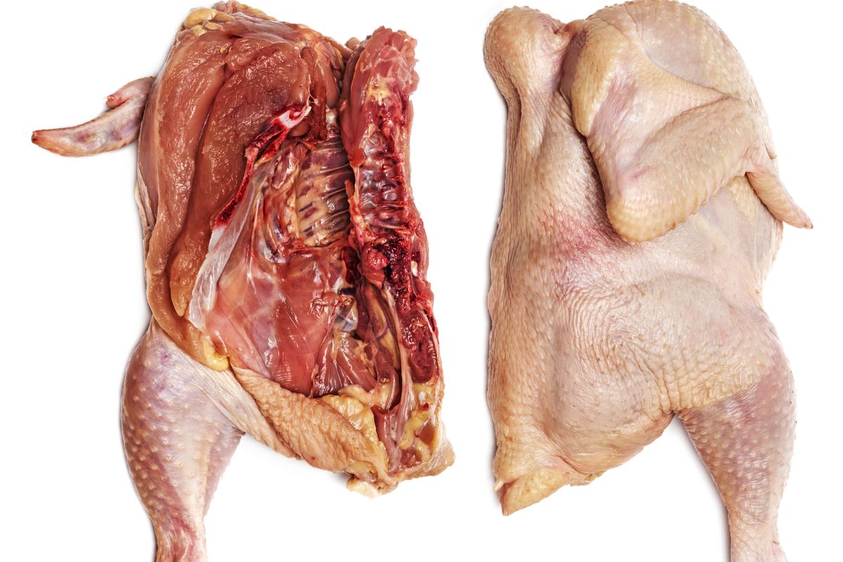 Ilustrasi daging ayam tiren. Viral atlet binaraga Kabupaten Malang makan daging ayam tiren untuk penuhi gizi. Dokter menyoroti kualitas daging dan efek sampingnya bagi kesehatan.
