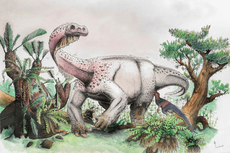 Peneliti Temukan Kandidat Baru Dinosaurus Terbesar di Dunia