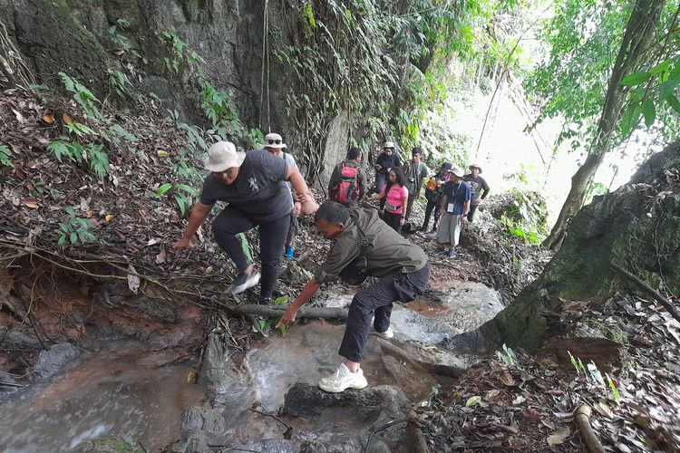 Jalur trekking di Gunung Kapur, Batu Katak, Langkat, Sumatera Utara. 