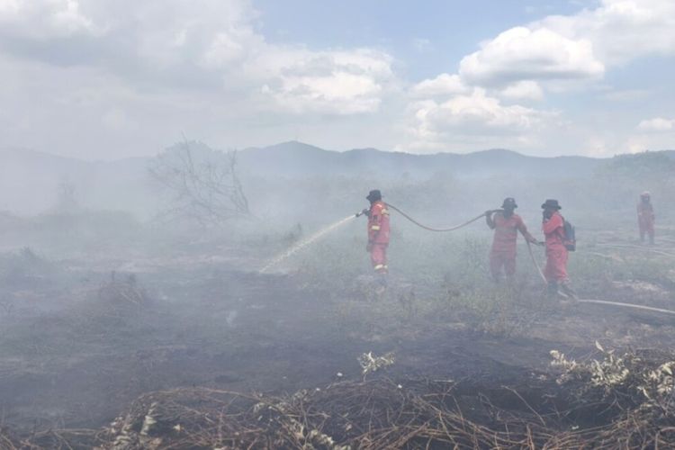 Kebakaran Lahan Gambut di Kolaka Timur Berjarak 2 Km dari Permukiman, Tim Fokus Sekat Api