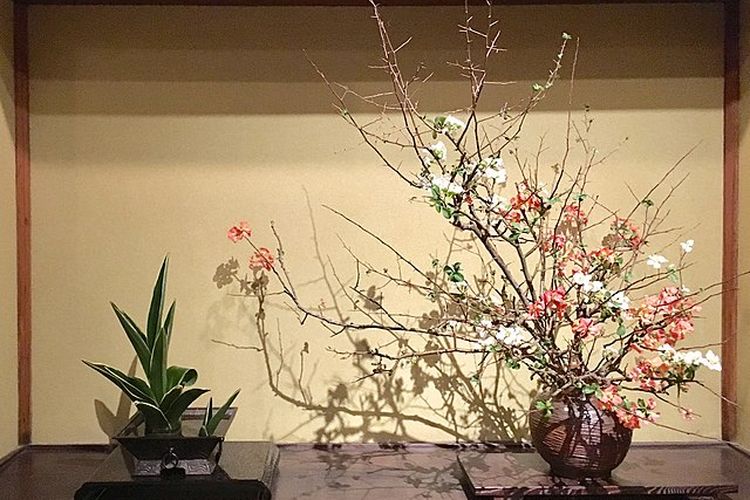 
[[File:Ikebana exhibition at Meguro Gajoen 2018 09.jpg|Ikebana_exhibition_at_Meguro_Gajoen_2018_09]]