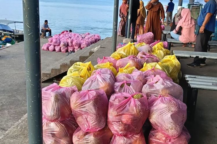 Panen Durian di Pulau Sebatik, Dibeli dengan Harga Murah tapi Dijual Mahal di Malaysia