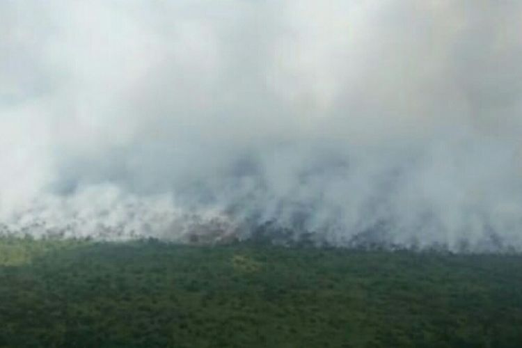 Kebakaran hutan dan lahan di wilayah Kecamatan Teluk Meranti, Kabupaten Pelalawan, Riau, terpantau dari udara oleh Tim Satgas Karhutla Riau, Jumat (23/8/2019).