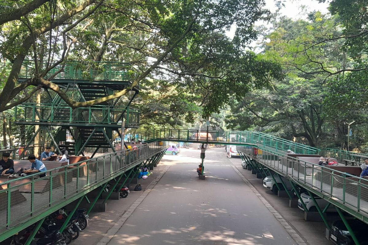 Suasana pagi hari di Hutan Kota Babakan Siliwangi