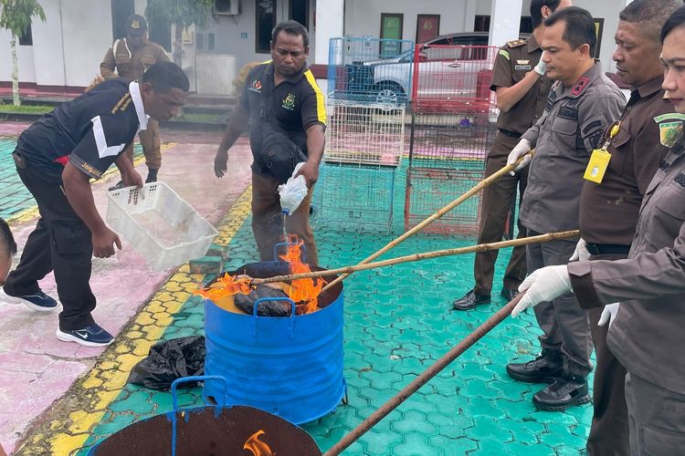 Kejaksaan Negeri Aru, Maluku memusmahkan barang bukti perkara pidana di kantor Kejari Aru, Kamis (20/6/2024)