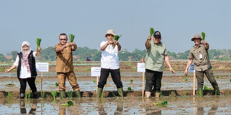 Direktur Jenderal Perkebunan Andi Nur Alam Syah bersama Sekretaris Direktorat Jenderal Perkebunan Heru Tri Widarto, Direktur Pupuk Indonesia Pangan  Iwan Daru Sukmana, dan Kadis Pertanian dan Tanaman Pangan Kabupaten Karawang Asep Hazar melakukan tanam padi di Desa Kutawargi, Kecamatan Rawamerta, Kabupaten Karawang, Jawa Barat, Senin (20/11/2023).