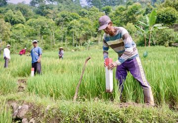 Patok Tanah Tak Boleh Asal Pasang, Sesuaikan dengan Aturan Pemerintah