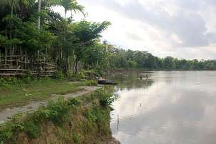 Dusun Raja Aceh, Desa Leuhan, Kecamatan Johan Pahlawan, Kabupaten Aceh Barat, terus terkikis amblas ke dasar Sungai Krueng Meureubo karena abrasi. 