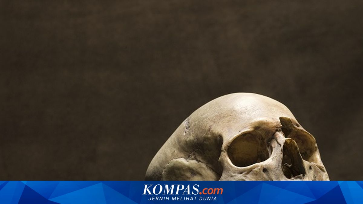 Kerangka Manusia Berambut Panjang Ditemukan di Kebun Jati Sukabumi