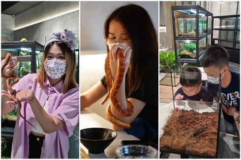 Kafe Baru di Malaysia Pertemukan Reptil dan Camilan