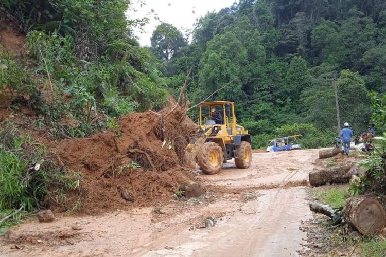 Ruas jalan yang menghubungkan antara Gunung Luhur - Cipulus Kabupaten Lebak terjadi longsor usai dilanda hujan lebat disertai angin kencang.
