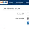 Cek Penerima Bantuan UMKM lewat eform.bri.co.id, Cukup Siapkan NIK