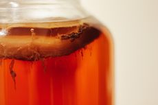 7 Potensi Manfaat Minum Teh Kombucha bagi Kesehatan