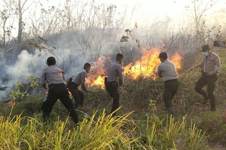 Aparat kepolisian bersmaa petugas BPBD berusaha memadamkan kebakaran hutan di Kabupaten Seram Bagian Timur, Maluku, Kamis (18/9/2019) Foto dok Humas Polres Seram Bagian Timur