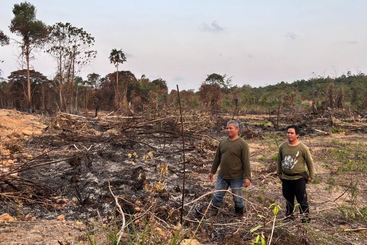Karhutla Melanda Samboja Barat Dekat Hutan IKN, Diduga Sengaja Dibakar untuk Kebun Sawit
