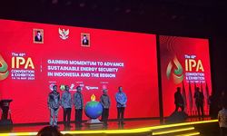 Indonesia Bisa Jadi Pemimpin Industri Penyimpanan Karbon di ASEAN