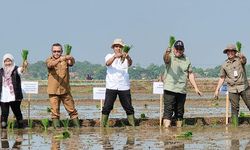 Genjot Akselerasi Produksi Pertanian, Ditjen Perkebunan Gelar OKMAR di Karawang