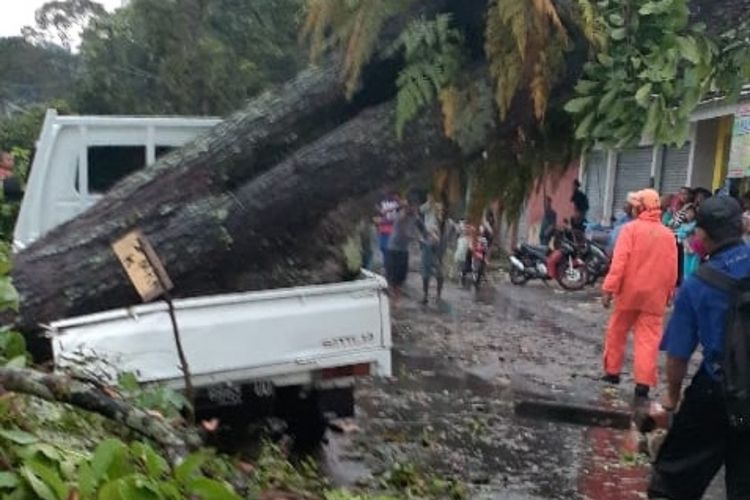 Sebatang pohon besar tumbang diterjang angin puting beliung menimpa mobil di Jalan Sukaraja-Gegerbitung, Desa Caringin, Gegerbitung, Sukabumi, Jawa Barat, Jumat (29/5/2020).